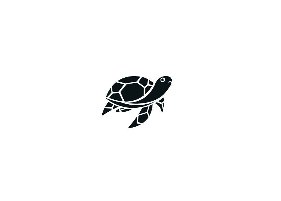 Download High Quality turtle logo design Transparent PNG Images - Art
