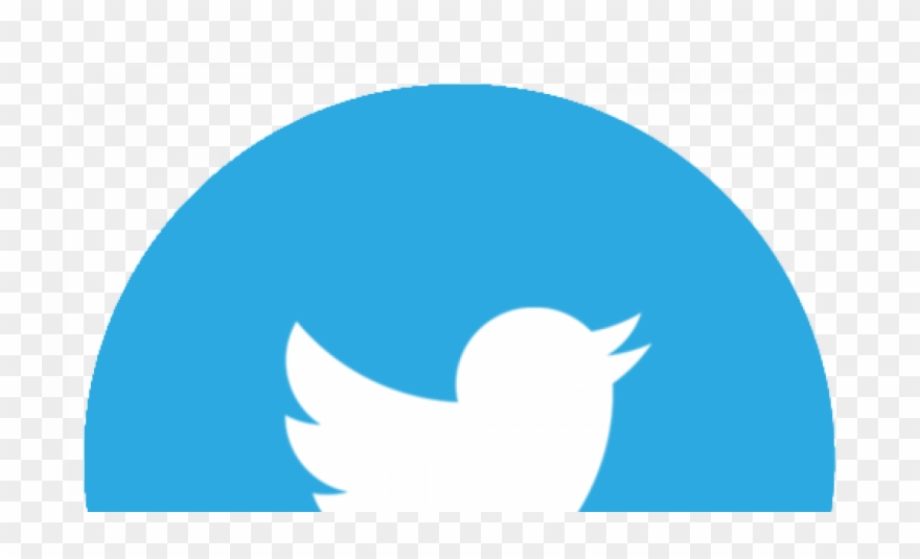 white twitter logo blue