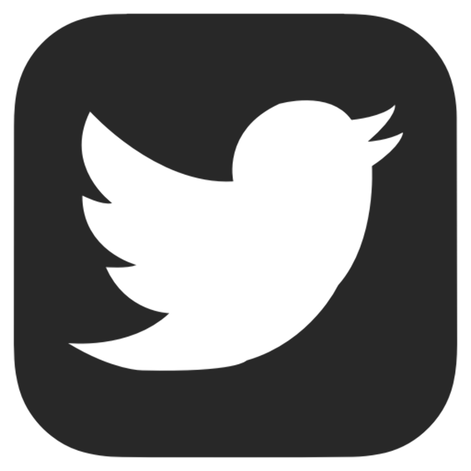 twitter logo png grey