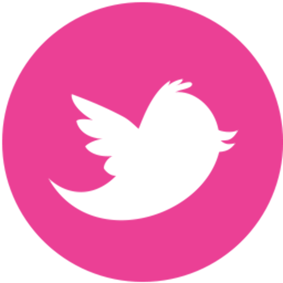 twitter logo png pink
