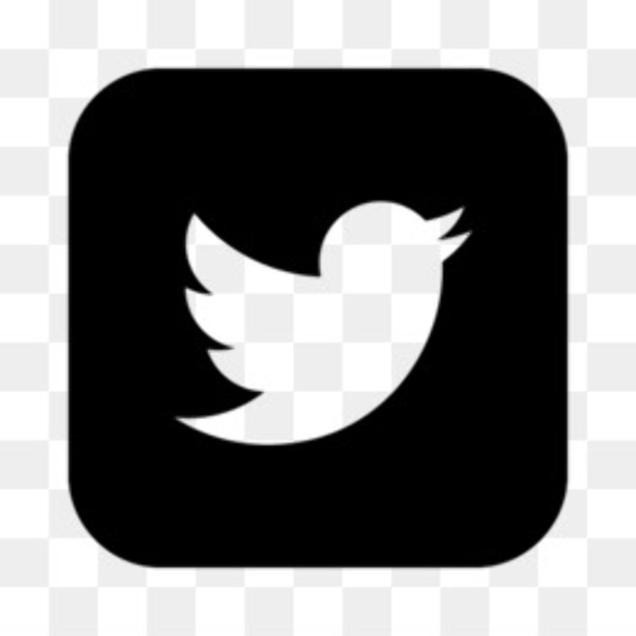 twitter logo png outline