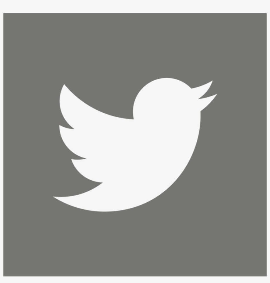 transparent twitter logo clear background