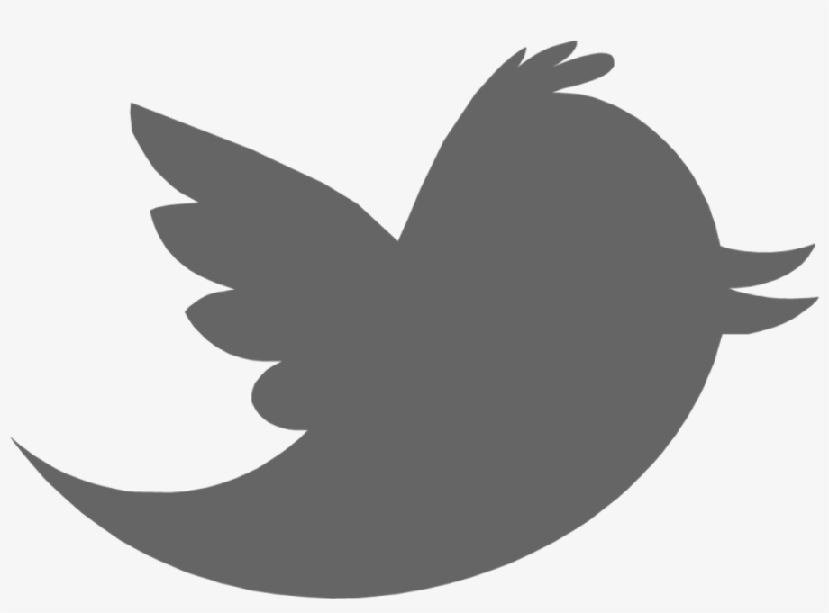 twitter transparent logo grey