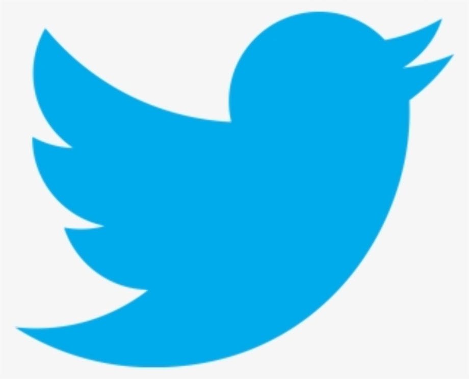 twitter logo png small