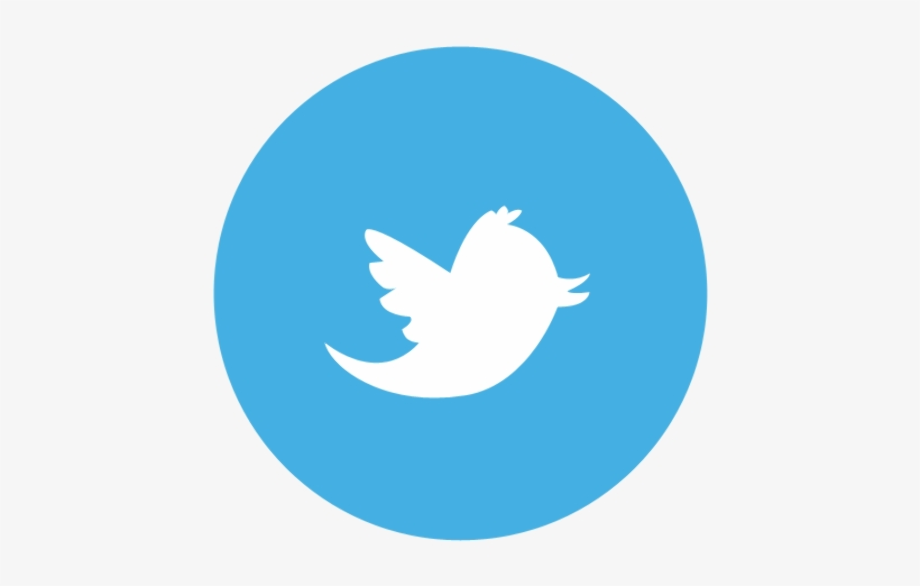 transparent twitter logo circle