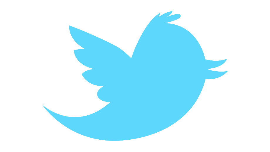 transparent twitter logo bird