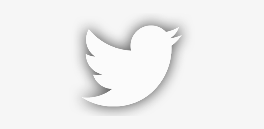 transparent twitter logo white