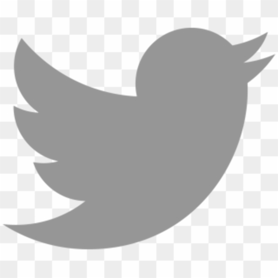 transparent twitter logo grey