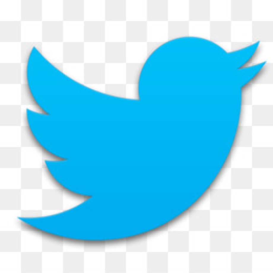 transparent twitter logo green