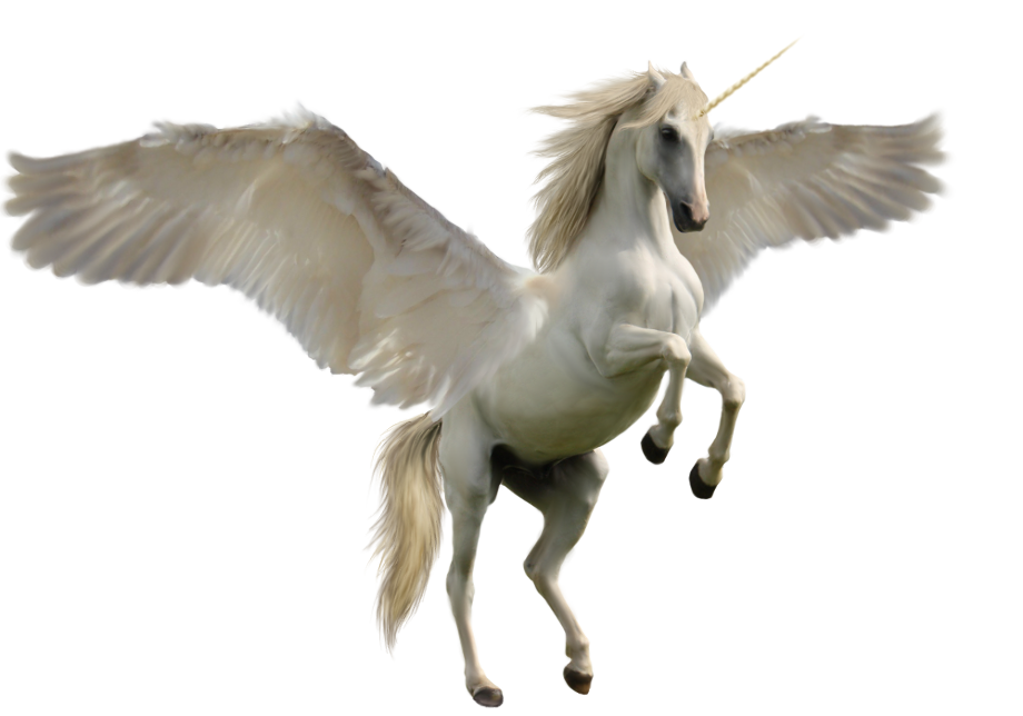 unicorn clipart realistic