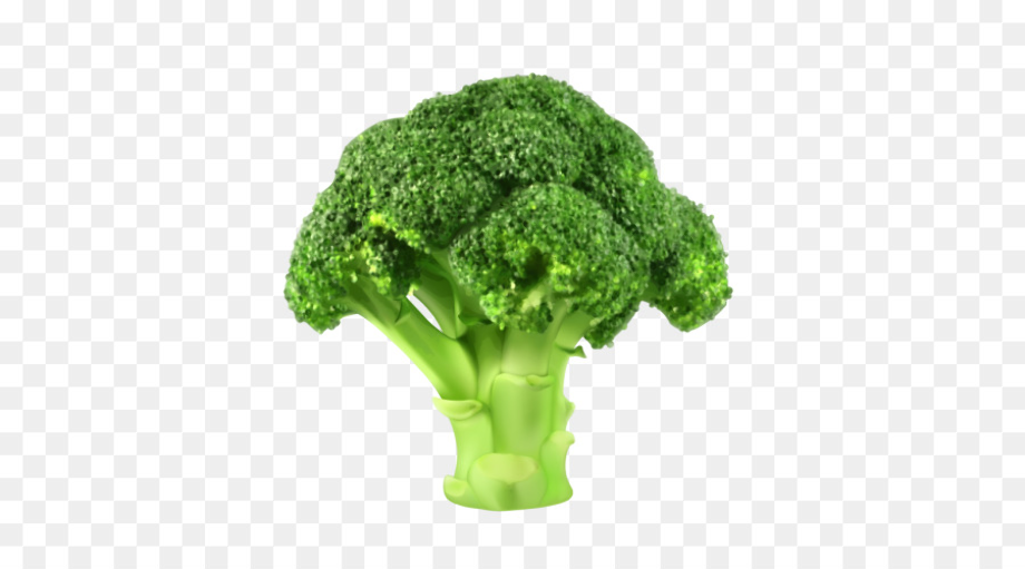 broccoli clipart transparent background