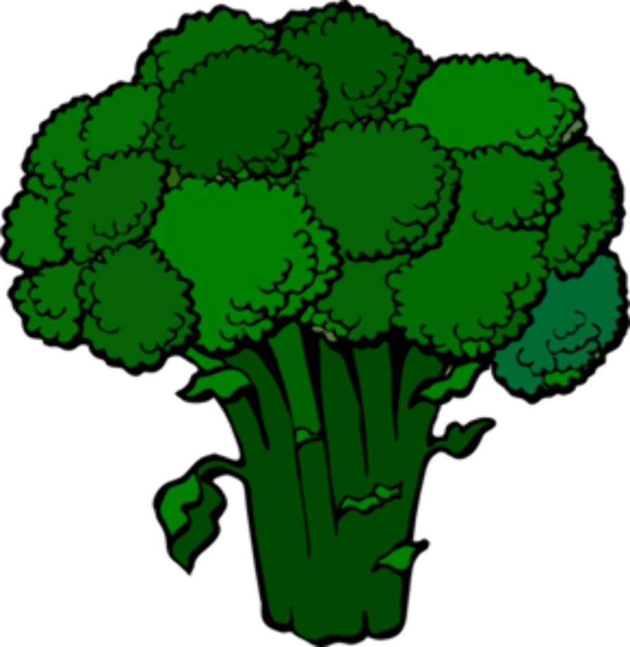 broccoli clipart food