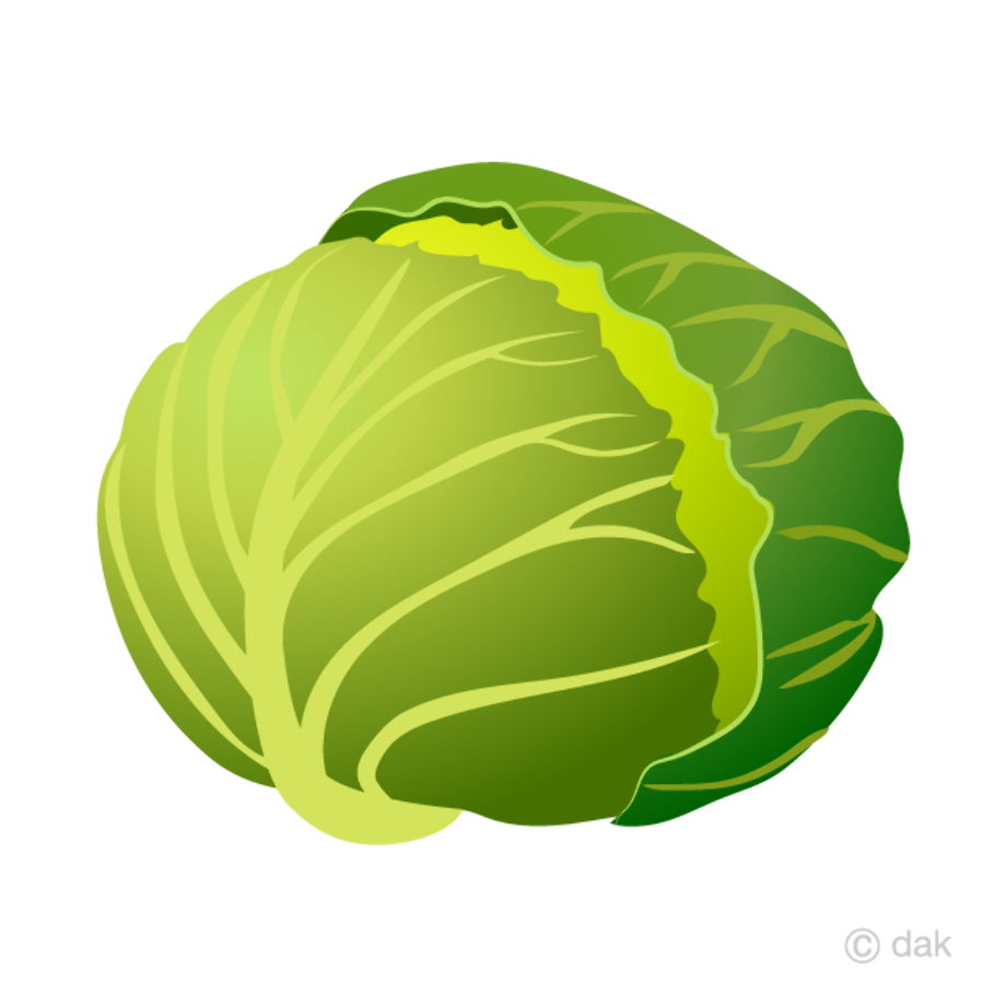 vegetables clipart cabbage