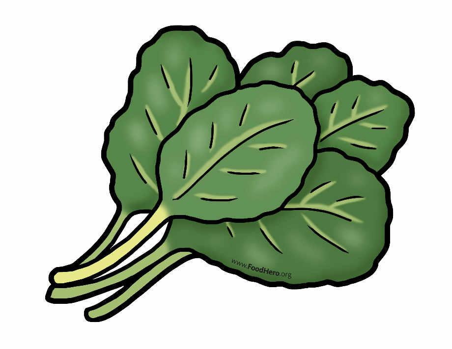 vegetables clipart leafy