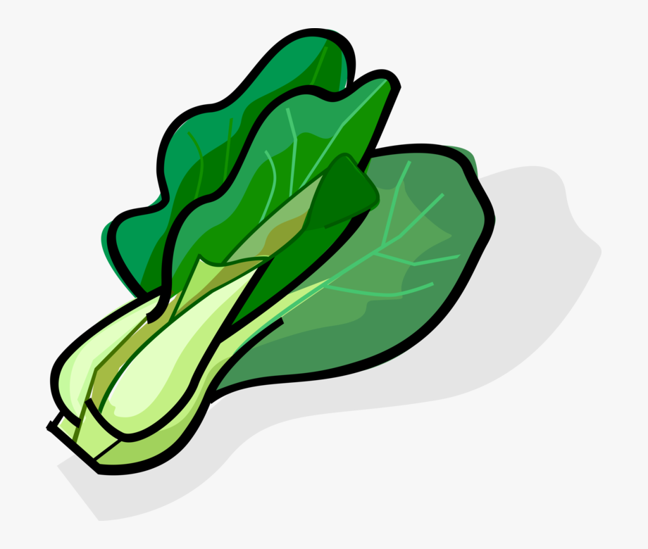 Download High Quality vegetables clipart green Transparent PNG Images
