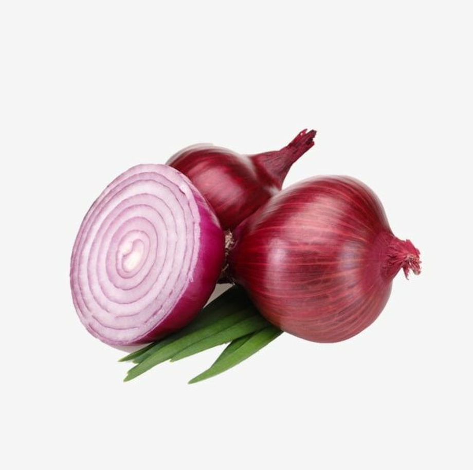 vegetables clipart onion
