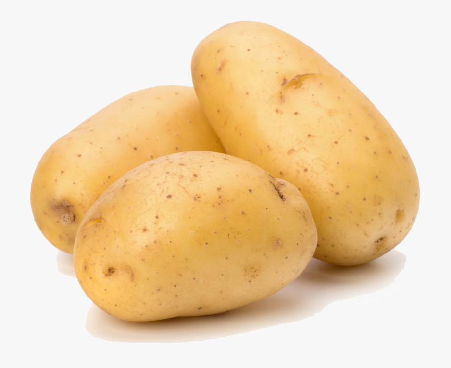potato clipart high resolution
