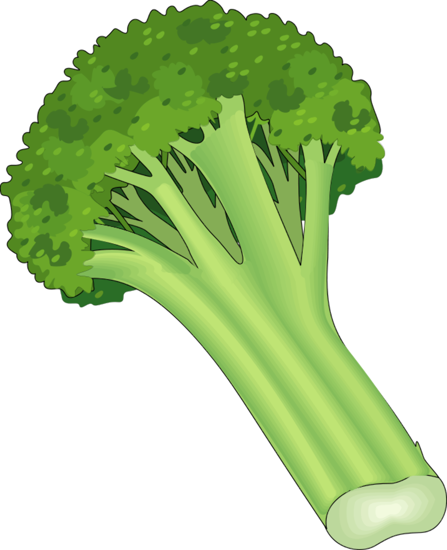 vegetables clipart green