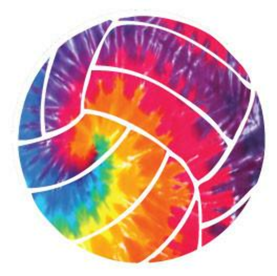 Download High Quality volleyball clipart colorful Transparent PNG