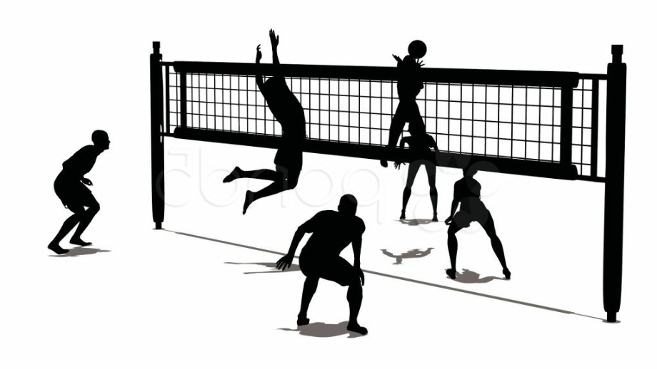 Download High Quality volleyball clipart court Transparent PNG Images