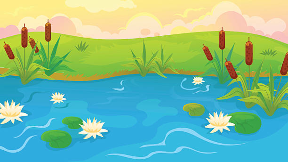 water clipart pond