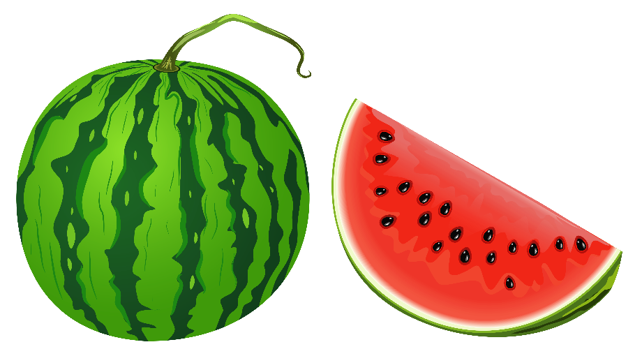 fruit clipart watermelon