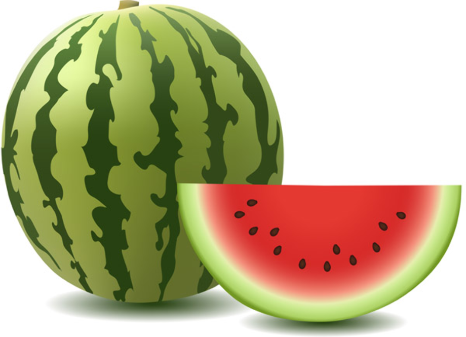 Download High Quality watermelon clipart vector Transparent PNG Images