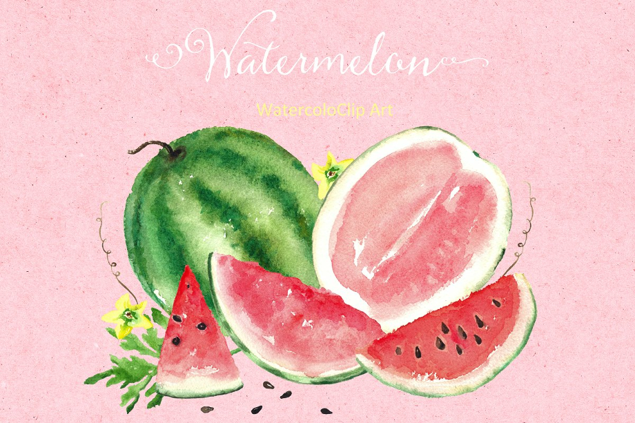 watermelon clipart watercolor