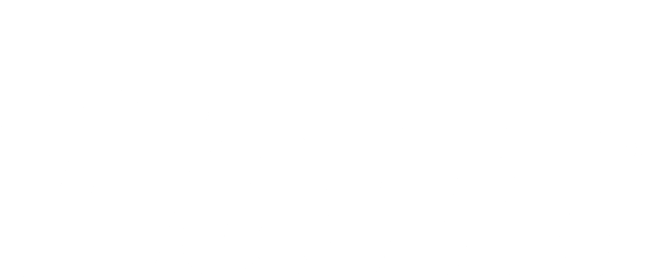 wawa logo black