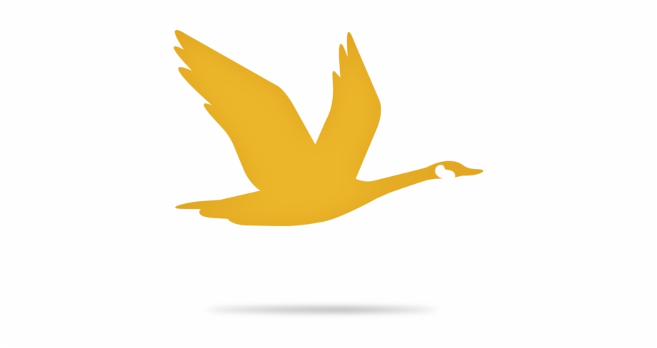 wawa logo bird
