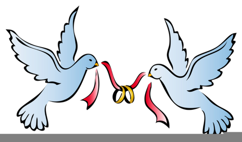 wedding rings clipart dove