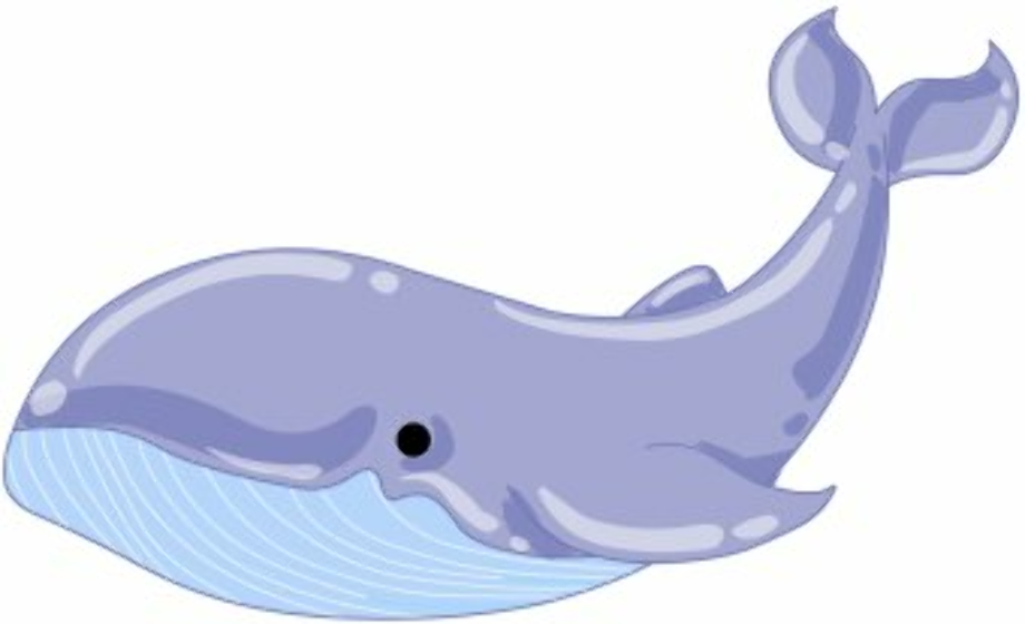 whale clipart humpback