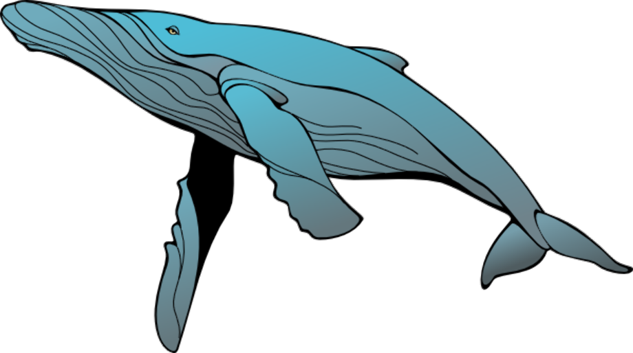 Download High Quality whale clipart animated Transparent PNG Images