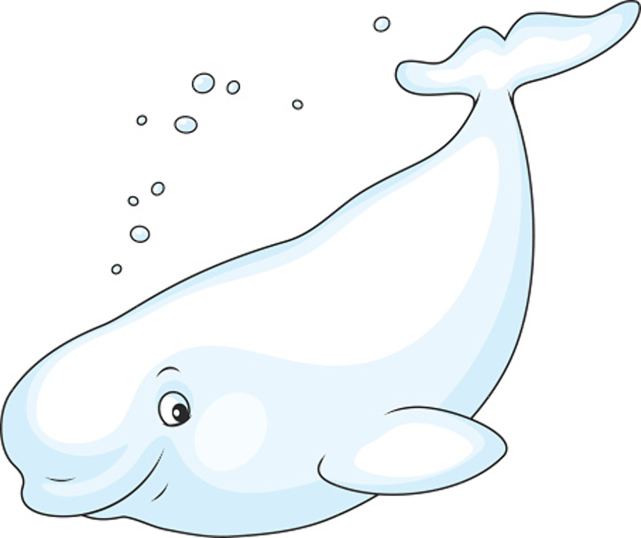 whale clipart beluga