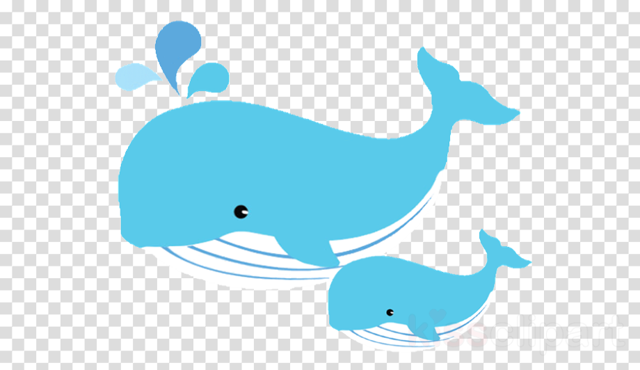 Download High Quality whale clipart transparent Transparent PNG Images