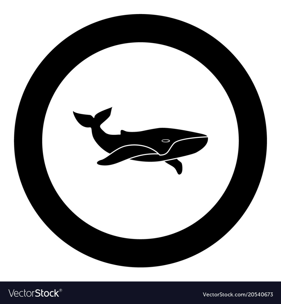 whale logo circle