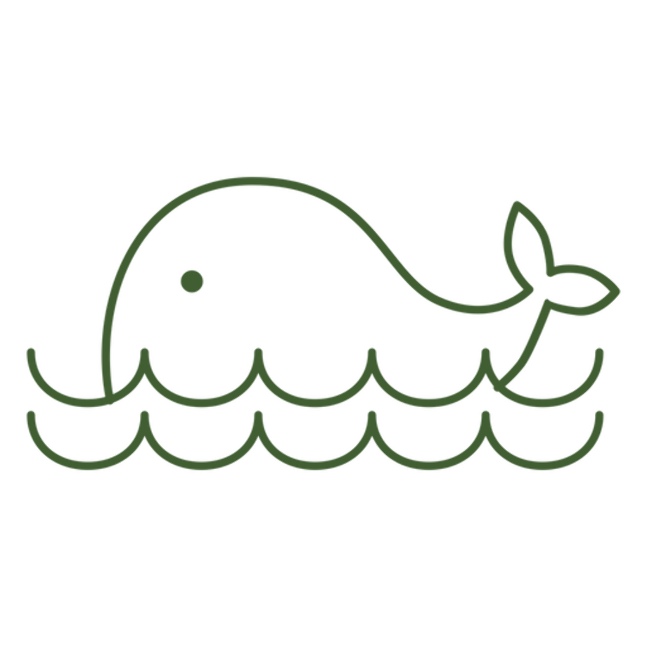 whale logo transparent