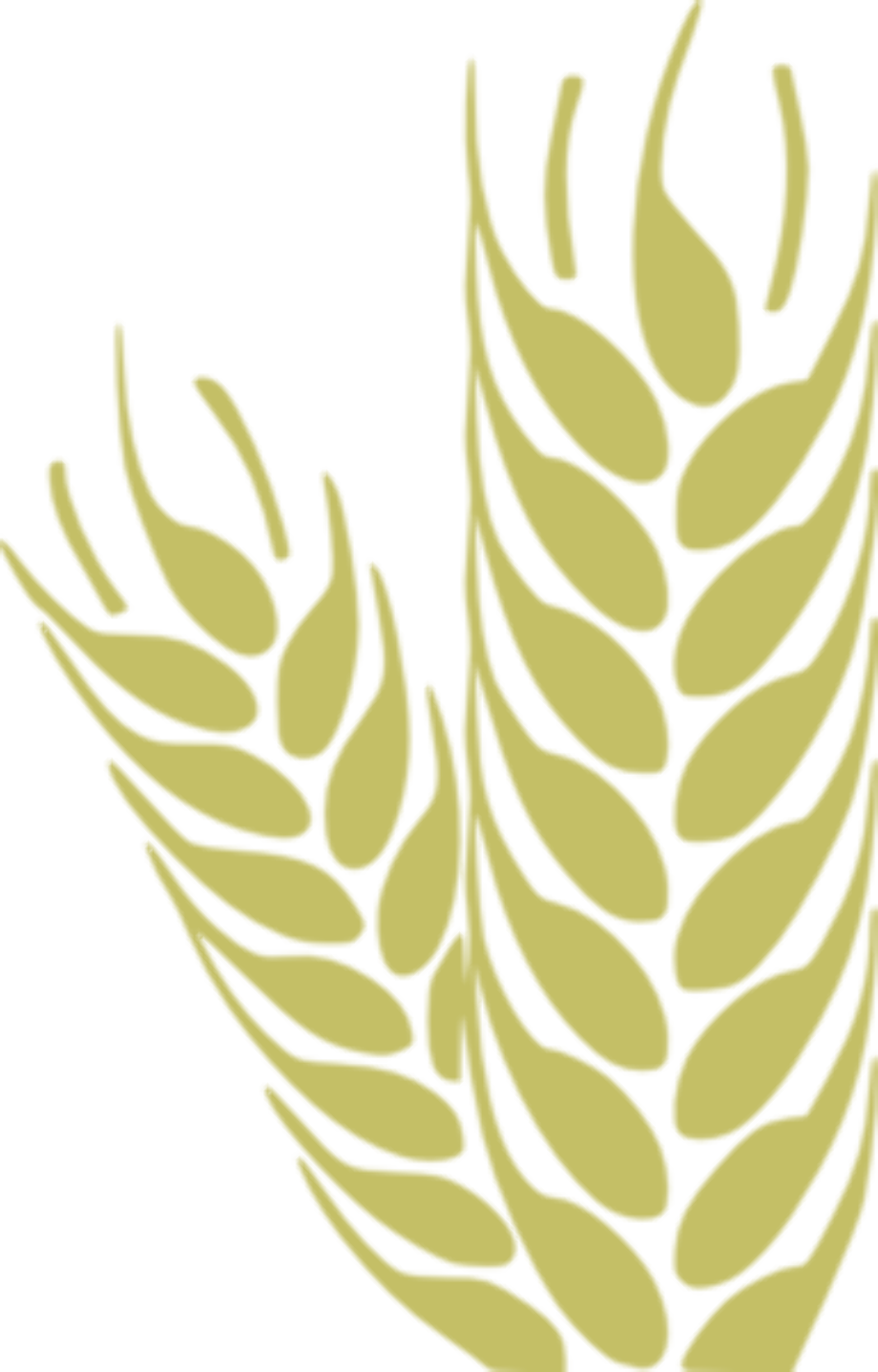 Download High Quality wheat clipart easy Transparent PNG Images - Art