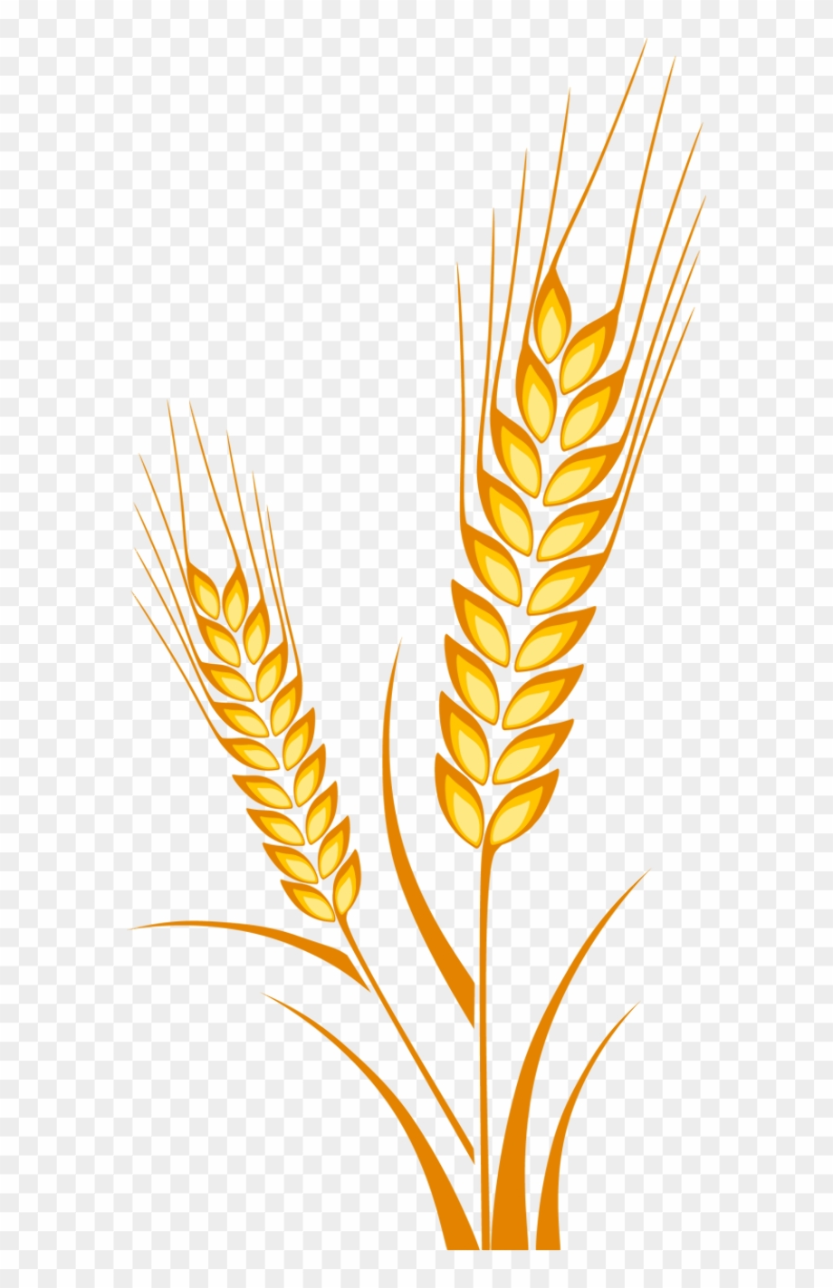 Download High Quality wheat clipart easy Transparent PNG Images - Art