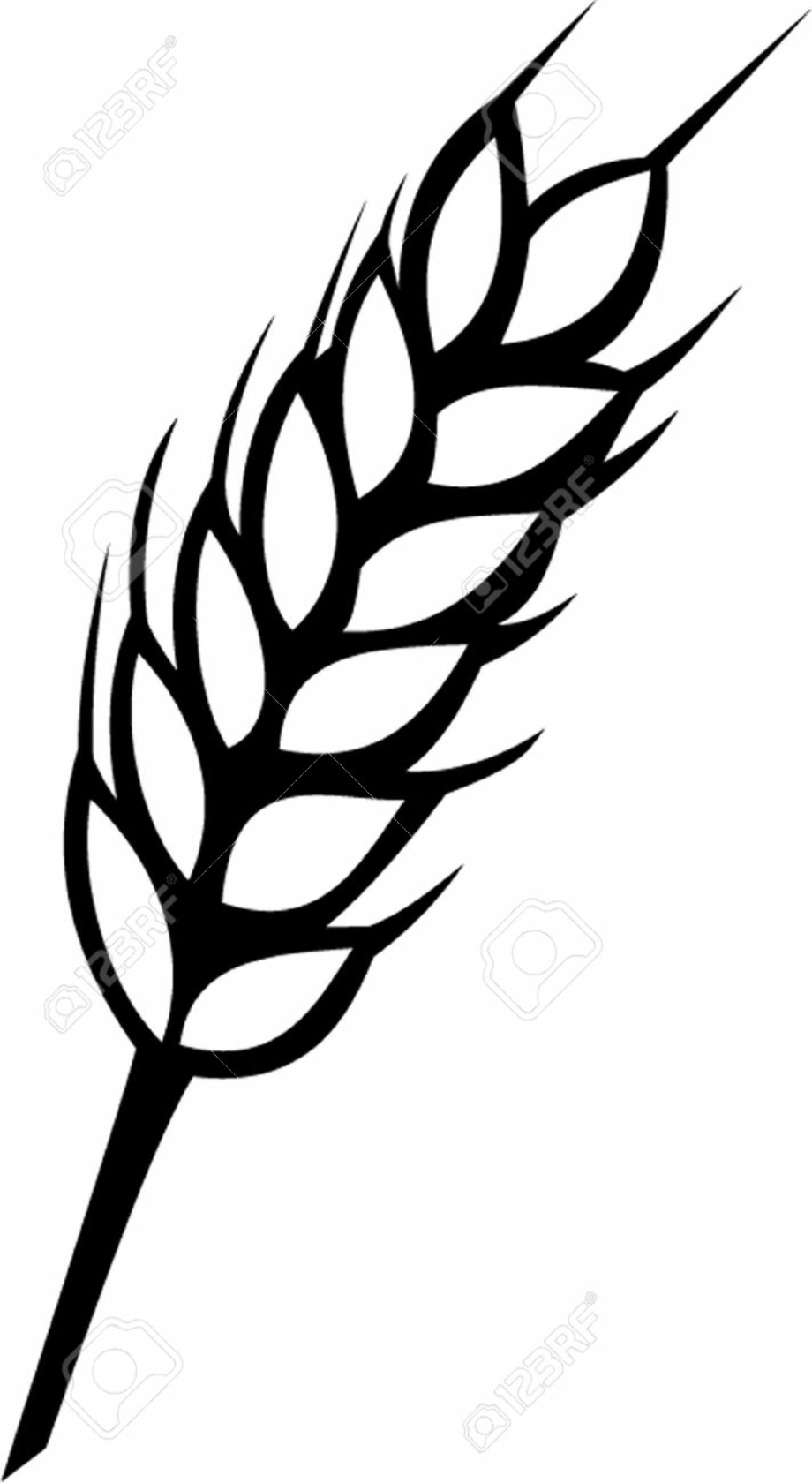 wheat clipart simple