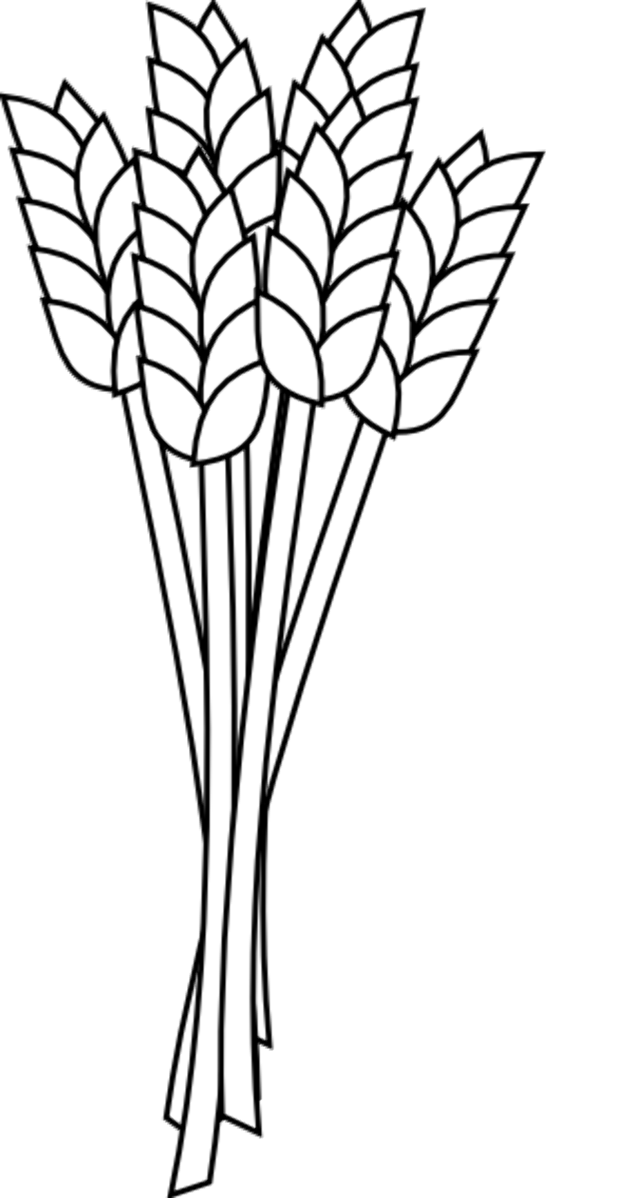 wheat clipart outline