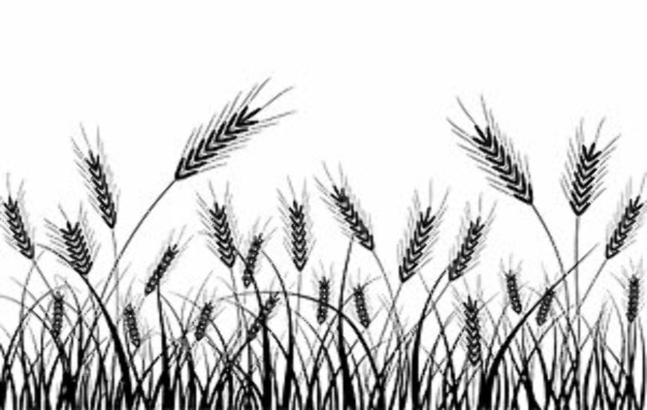 wheat clipart silhouette