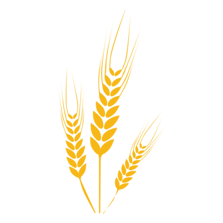 Три колоска. Колосок логотип. Колос пшеницы логотип. Векторные колоски пшеницы. Стилизованный Колос пшеницы.