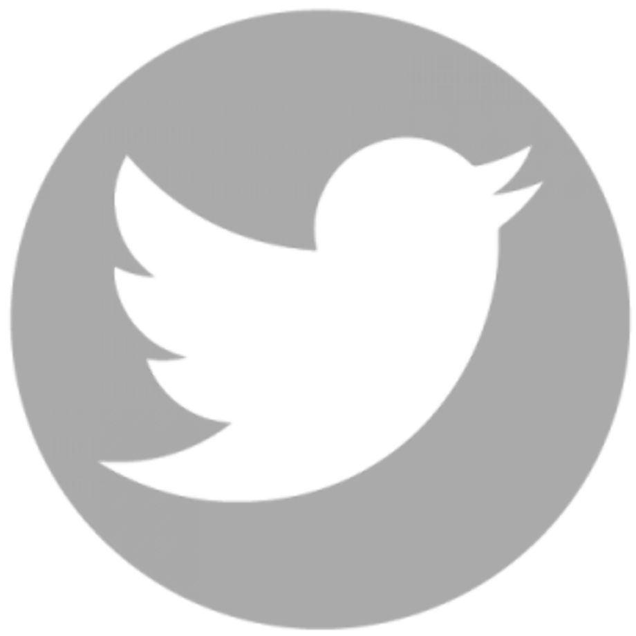 White twitter logo gray