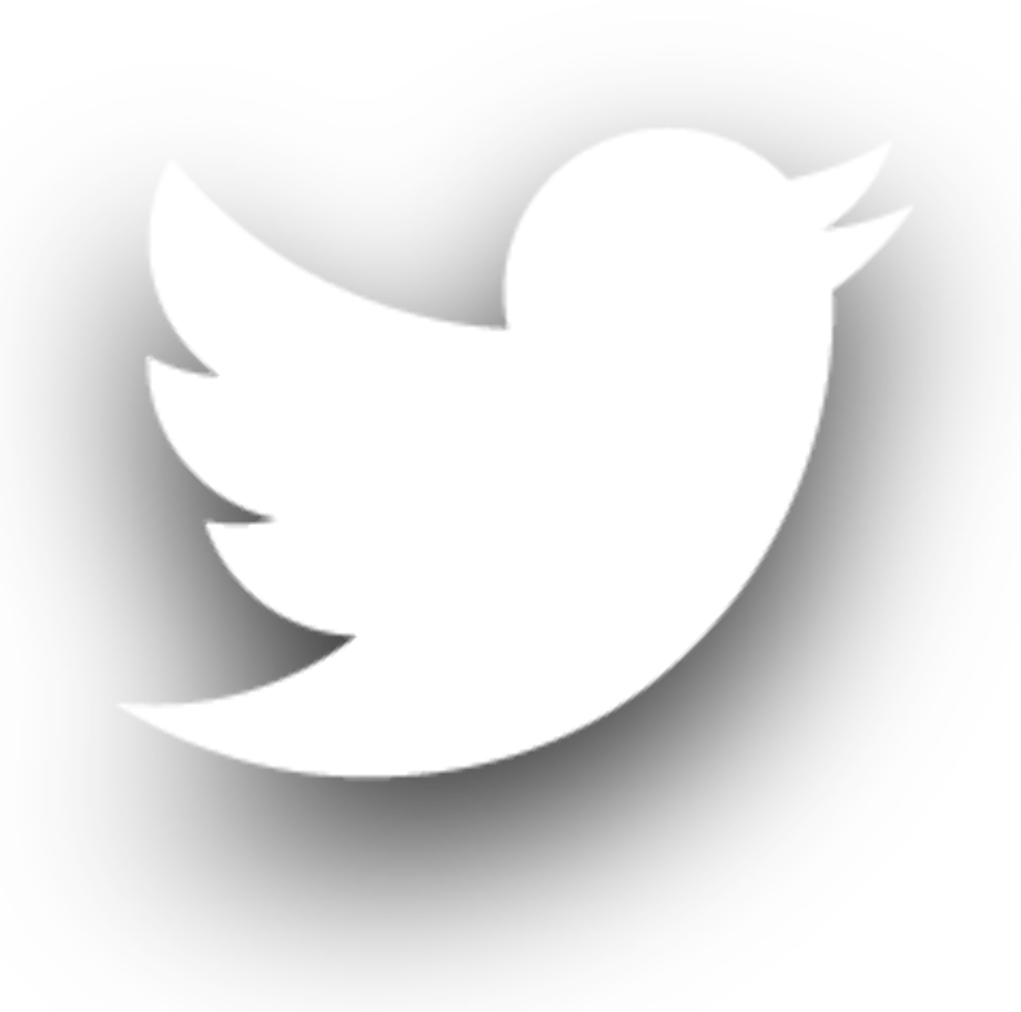 Download High Quality white twitter logo icon Transparent PNG Images
