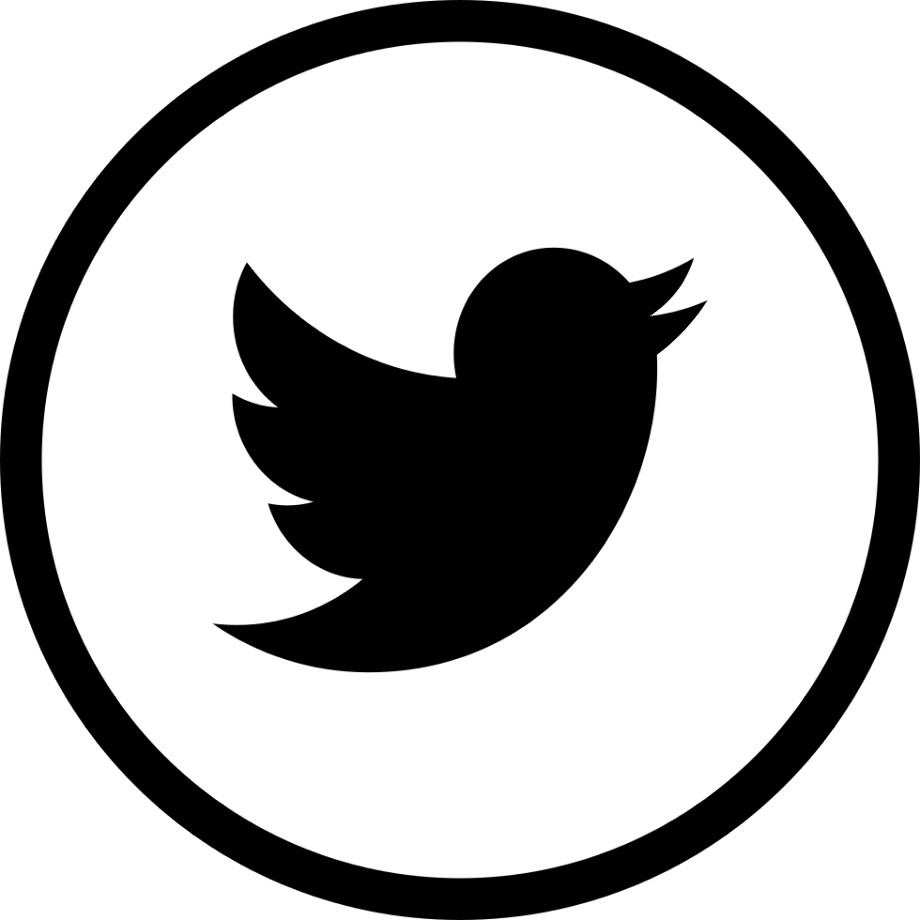 white twitter logo svg