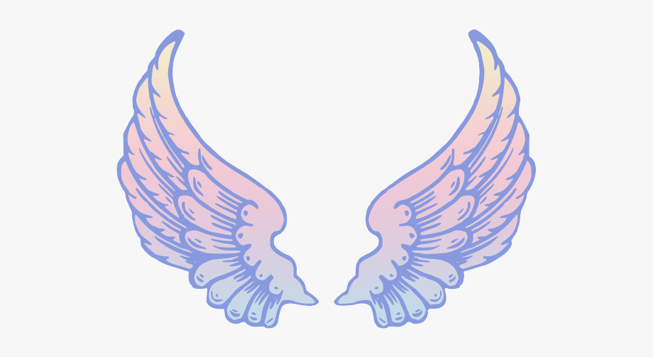 Download High Quality wings clipart colorful Transparent PNG Images ...