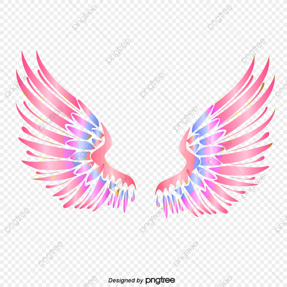 wings clipart colorful