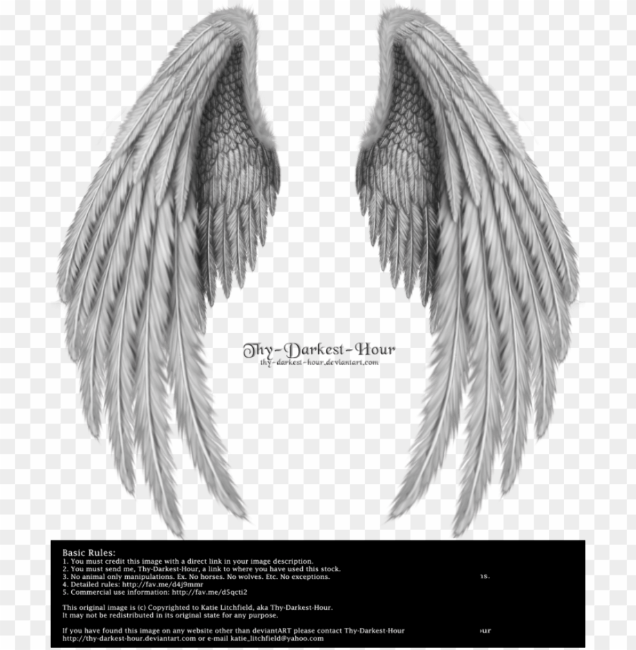 Download High Quality wings clipart folded Transparent PNG Images - Art ...