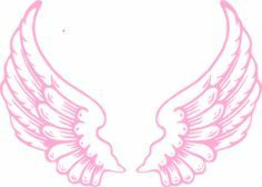 Download High Quality wings clipart pink Transparent PNG Images - Art ...